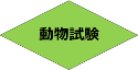 動物試験